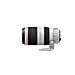 Obiettivo EF 100-400 mm F / 4.5-5.6 L IS USM II - Foto miniatura 4