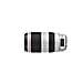 Obiettivo EF 100-400 mm F / 4.5-5.6 L IS USM II - Foto miniatura 5