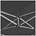Gazebo Professionale Pieghevole Alluminio 6x3 m Antracite - Foto miniatura 3