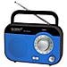 RPS560, Portatile, Analogico, AM, FM, 1-via, AC, Batteria, LR14 - Foto miniatura 2
