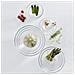 Cucina Insalatiera Rotondo Vetro Trasparente 1pezzo (i)  - Foto miniatura 2