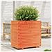 Fioriera Giardino Marrone Cera 70x40x72,5cm Legno Massello Pino - Foto miniatura 8