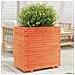 Fioriera Giardino Marrone Cera 70x40x72,5cm Legno Massello Pino - Foto miniatura 9