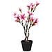 Magnolia Artificiale In Fiore Vikasa Home — H 75 Cm - Foto miniatura 1