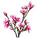 Magnolia Artificiale In Fiore Vikasa Home — H 75 Cm - Foto miniatura 3