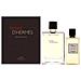 Herm? s Terre Dherm? s Eau De Toilette Spray 100ml Set 2 Parti 2019 - Foto miniatura 1