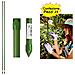 Tutori In Acciaio Plastificato Tipo Bamboo Per Ortaggi E Piante Confezione Da 25 Pezzi 19 Mm X 210 Cm - Foto miniatura 1