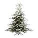 Albero Di Natale 9670122 Grandis Verde Innevato - Foto miniatura 1