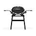 Barbecue A Gas Q2200n Con Supporto - Foto miniatura 1