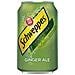 Ginger Ale 33cl (pack De 24) - Foto miniatura 2