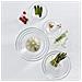 Cucina Insalatiera Rotondo Vetro Trasparente 1pezzo (i)  - Foto miniatura 2