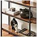 Tavolo Consolle Da Ingresso Tavolino Stretto Tavolo Decorativo Marrone 110x25x86cm Fsb67-ws - Foto miniatura 3