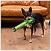 Giocattoli Per Cani Verde 100 % Poliestere - Foto miniatura 7