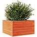 Fioriera Giardino Marrone Cera 40x40x23 cm Legno Massello Pino - Foto miniatura 2