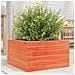 Fioriera Giardino Marrone Cera 40x40x23 cm Legno Massello Pino - Foto miniatura 7