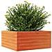 Fioriera Giardino Marrone Cera 50x50x23 cm Legno Massello Pino - Foto miniatura 7