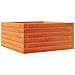 Fioriera Giardino Marrone Cera 50x50x23 cm Legno Massello Pino - Foto miniatura 1