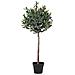 Ulivo Artificiale Verde H 120 Cm - Foto miniatura 1