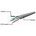 PP6U-0.5M, RJ-45, RJ-45, Maschio / maschio, Cat6, U / UTP (UTP) , Bianco - Foto miniatura 1