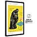 Galaxy Tab S6 Lite Grigio 10.4" WUXGA+ Octa Core RAM 4GB Memoria 64 GB +Slot MicroSD Wi-Fi Fotocamera 8Mpx Android - Italia  - Foto miniatura 3