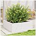 Fioriera Da Giardino Bianca 70x70x23 Cm Legno Massello Di Pino - Foto miniatura 3