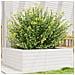 Fioriera Da Giardino Bianca 70x70x23 Cm Legno Massello Di Pino - Foto miniatura 1