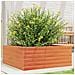 Fioriera Giardino Marrone Cera 60x60x23 cm Legno Massello Pino - Foto miniatura 2