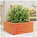Fioriera Giardino Marrone Cera 60x60x23 cm Legno Massello Pino - Foto miniatura 3