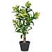 Skimmia Artificiale In Vaso House Nordic — H 75 Cm - Foto miniatura 1