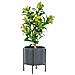 Skimmia Artificiale In Vaso House Nordic — H 75 Cm - Foto miniatura 2