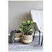 Skimmia Artificiale In Vaso House Nordic — H 75 Cm - Foto miniatura 7