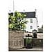 Skimmia Artificiale In Vaso House Nordic — H 75 Cm - Foto miniatura 8