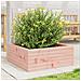 Fioriera da Giardino 60x60x23 cm in Legno Massello di Douglas - Foto miniatura 2