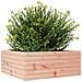 Fioriera da Giardino 60x60x23 cm in Legno Massello di Douglas - Foto miniatura 10