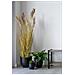 Erba Sorgo Artificiale Naturale H 110 Cm - Foto miniatura 6