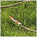 Tubo Da Giardino Comfort Highflex 13 Mm 30 M 18066-20 - Foto miniatura 3