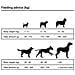 Cibo Secco Per Cani Premium Adult Essence Beef 2 Pz 30 Kg - Foto miniatura 3