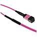 DC5001 cavo InfiniBand e in fibra ottica 30 m MPO /MTP Viola - Foto miniatura 1