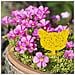 Confezione Da 60 Acchiappamosche/trappola Per Mosche/trappola Per Insetti Appiccicosa Yellow - Foto miniatura 4