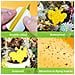 Confezione Da 60 Acchiappamosche/trappola Per Mosche/trappola Per Insetti Appiccicosa Yellow - Foto miniatura 5
