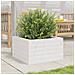 Fioriera Da Giardino Bianca 40x40x23 Cm Legno Massello Di Pino - Foto miniatura 3