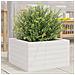Fioriera Da Giardino Bianca 40x40x23 Cm Legno Massello Di Pino - Foto miniatura 1