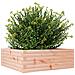 Fioriera da Giardino 70x70x23 cm in Legno Massello di Douglas - Foto miniatura 2
