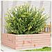 Fioriera da Giardino 70x70x23 cm in Legno Massello di Douglas - Foto miniatura 6