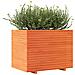 Fioriera Giardino Marrone Cera 90x60x72,5cm Legno Massello Pino - Foto miniatura 2
