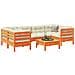 Set Divani Giardino 7 pz con Cuscini Marrone Cera Massello Pino - Foto miniatura 2