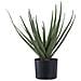 Pianta Artificiale Aloe Vera In Vaso Nero H51 Cm - Foto miniatura 1