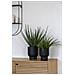 Pianta Artificiale Aloe Vera In Vaso Nero H51 Cm - Foto miniatura 5
