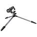 Treppiede con Testa a Sfera Altezza Max 142.5 cm Nero Argento 55358-EU - Foto miniatura 7