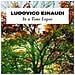 Ludovico Einaudi - In A Time Lapse (2 Lp)  - Foto miniatura 1